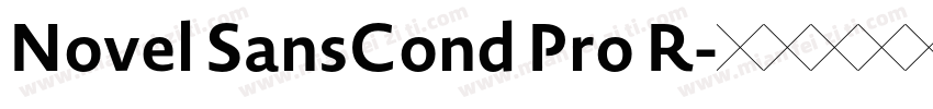 Novel SansCond Pro R字体转换
